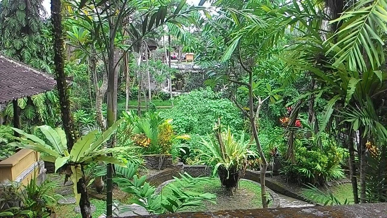 Sari Wangi Cottage Ubud Exterior foto